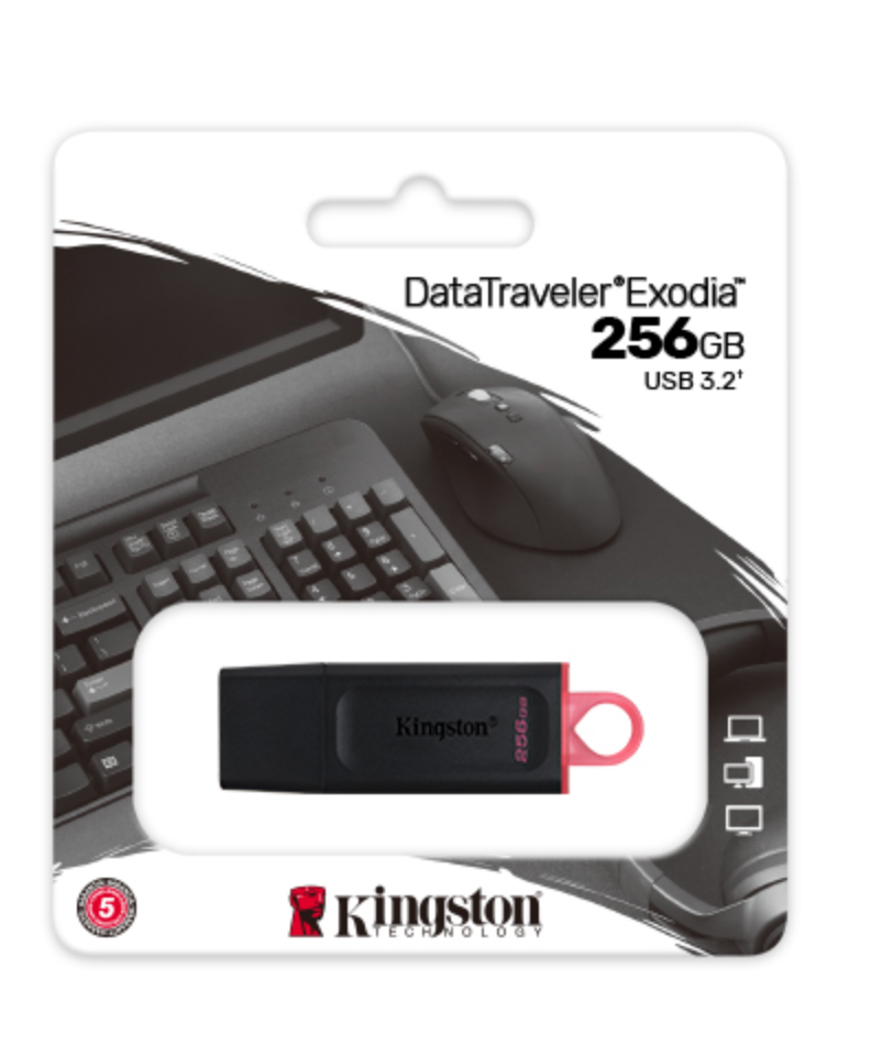 Kingston DataTraveler Exodia - USB flash drive - 256 GB Kingston USB 3.2 Gen 1 black/pink