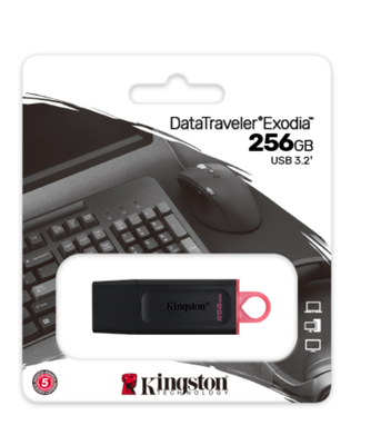 Kingston DataTraveler Exodia - USB flash drive - 256 GB Kingston USB 3.2 Gen 1 black/pink