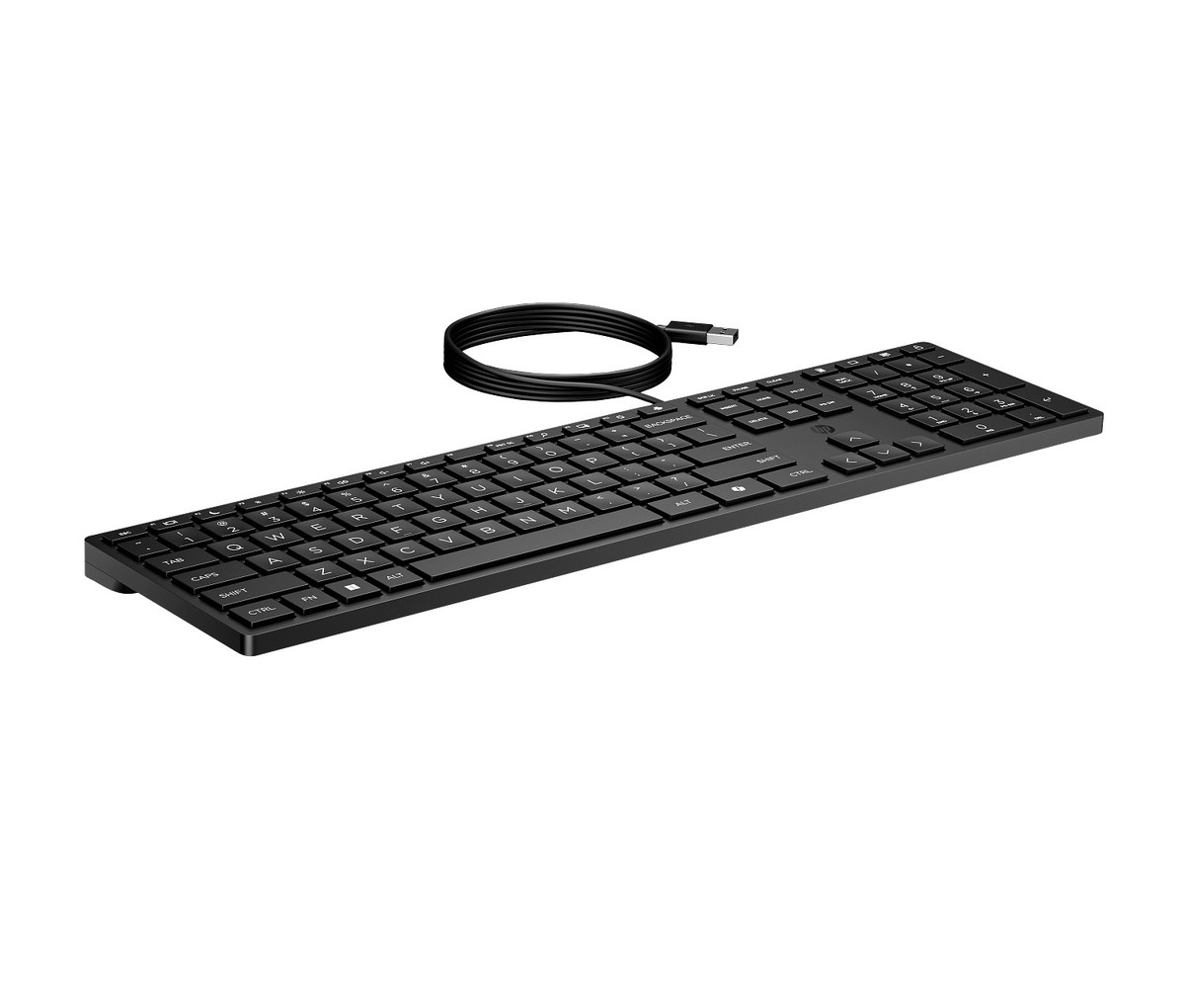 HP Desktop 320K - Keyboard - USB