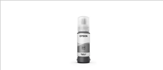 Epson T555 - Photo gray - original