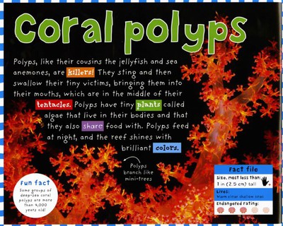 Coral Reef   |  Smart Kids Series  |  Please Order