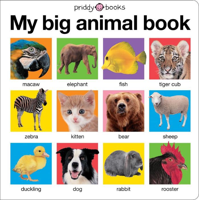My Big Animal Book  |  Please Order