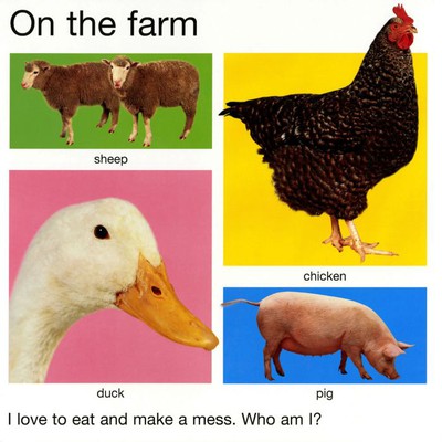 My Big Animal Book  |  Please Order