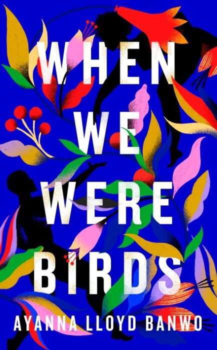 When We were Birds  -  Ayanna Lloyd Banwo
