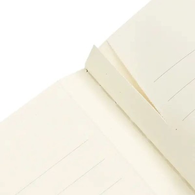 Notebook  |  Paperblanks Cahier  | Riviera Bold - Old Leather Collection  |  A4 Size - Lined | Softcover