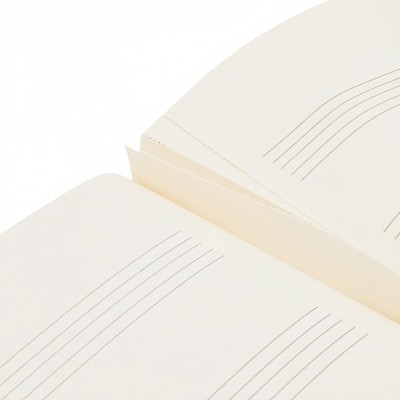 Manuscript  Book  | Paperblanks  | Mozart The Hunt | A4 Size