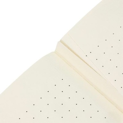 Notebook  |  Paperblanks Cahier | Riviera Bold - Old Leather Collection | A5 Size - Dot Grid  |  Softcover