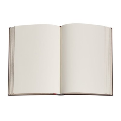 Journal  |  Paperblanks  |  Destiny - Voltaire's Book of Fate  |  Unlined  |  Grande Size  |  Hardcover