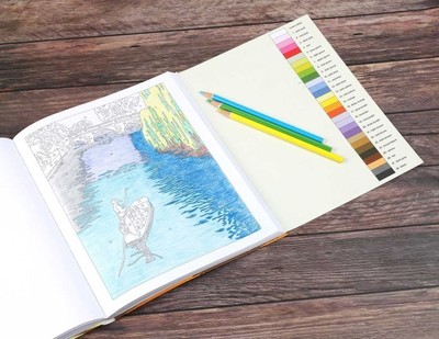 Color by Number | Calm | Large Print | Editors of Thunder Bay Press