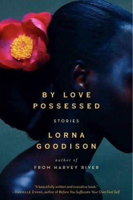 By Love Possessed | Lorna Goodison