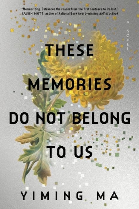 These Memories Do Not Belong To Us    |   Yiming Ma