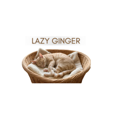 Lazy Ginger Cat Transparent PNG