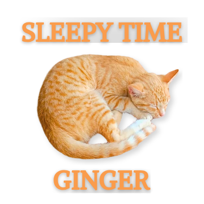 Sleepy Ginger Cat, png Cute, Sleeping, Kitten