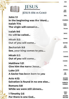 Bible Study Guide & Lesson Planing
