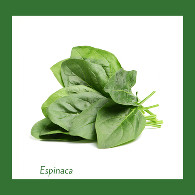 Espinaca Tradicional (1 Libra)