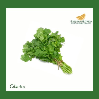 Cilantro Orgánico (Media Libra)