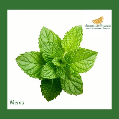 Menta Orgánica (Media Libra)