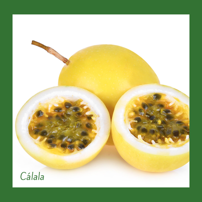 Cálala grande (1 Unidad)