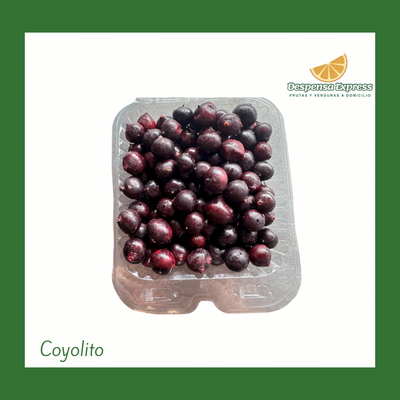Coyolito (1 Libra)