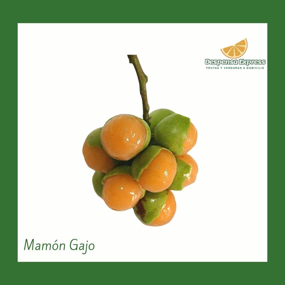 Mamón gajo.