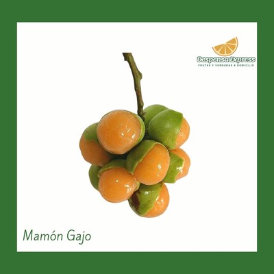 Mamón gajo.