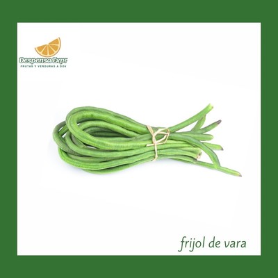 Frijol de vara (Moño)