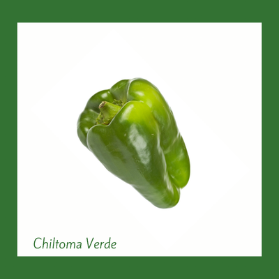 Chiltoma verde (1 Unidad)
