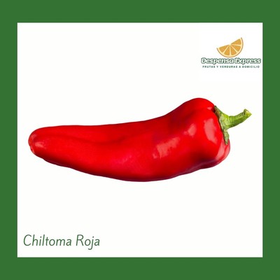 Chiltoma Roja Larga (1 Unidad)