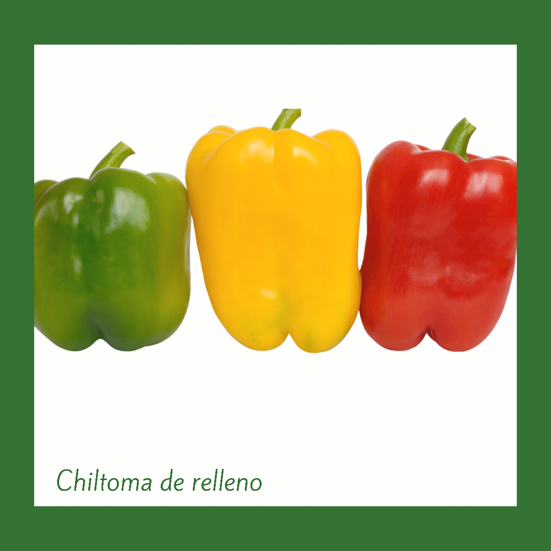 Chiltoma de Relleno / Bell Pepper  Pequena (1 Unidad)