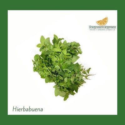 Hierbabuena (Moño)