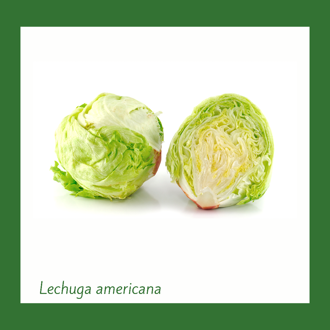 Lechuga americana o nacional (Unidad)