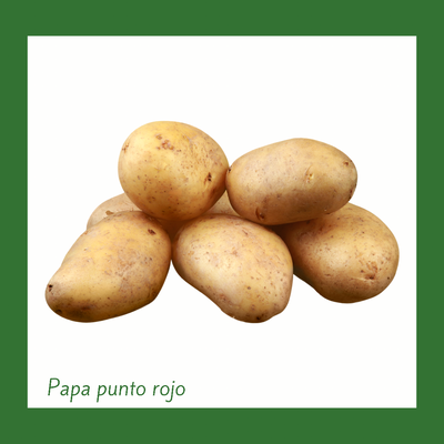 Papa Blanca o punto Rojo (1 Libra)