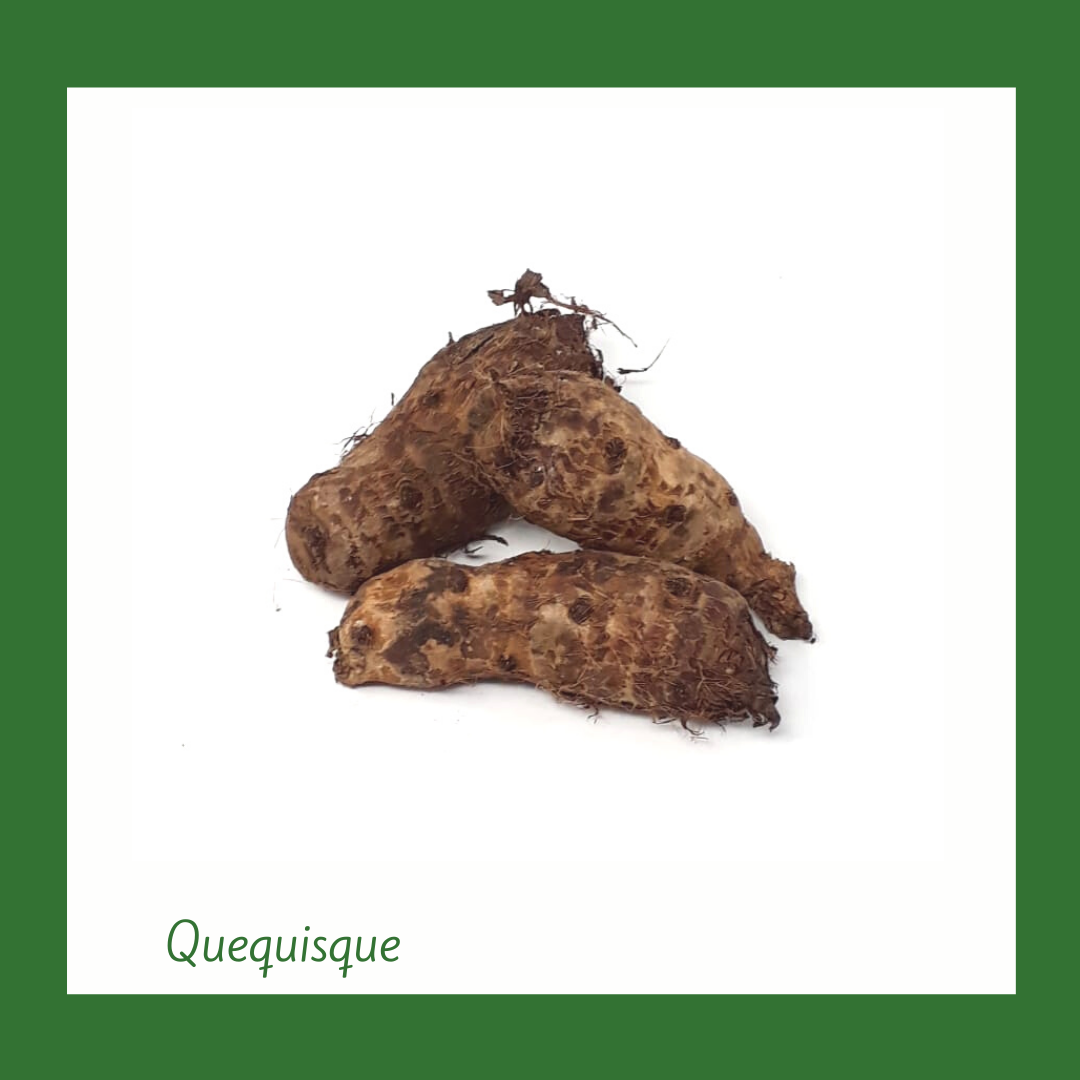Quequisque (1 Libra)