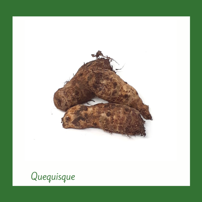 Quequisque (1 Libra)