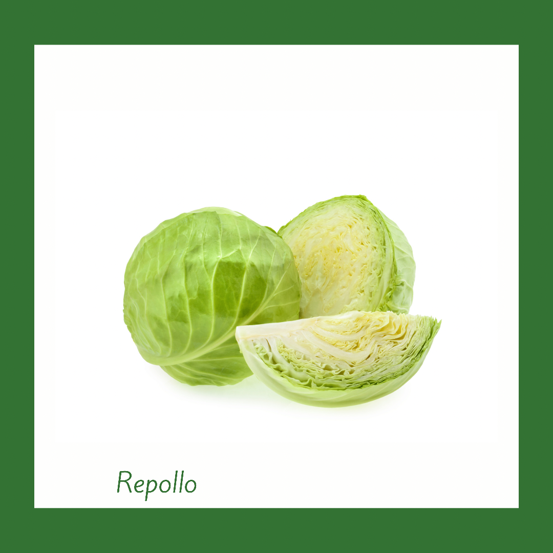 Repollo Blanco Grande (1 Unidad)