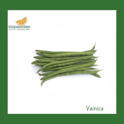 Vainica Corta  o Ejote (1 Libra)