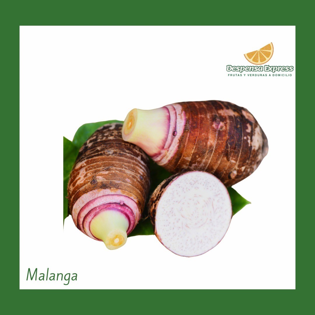 Malanga Pequeña (1 Unidad)