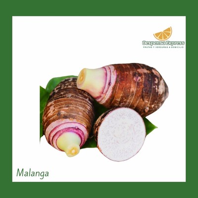 Malanga Pequeña (1 Unidad)