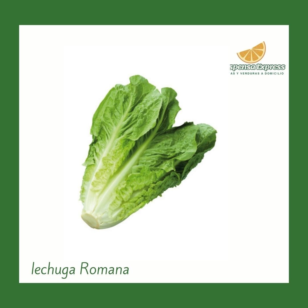 Lechuga Romana (1 Unidad)