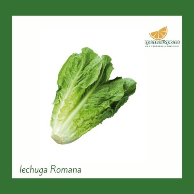 Lechuga Romana (1 Unidad)