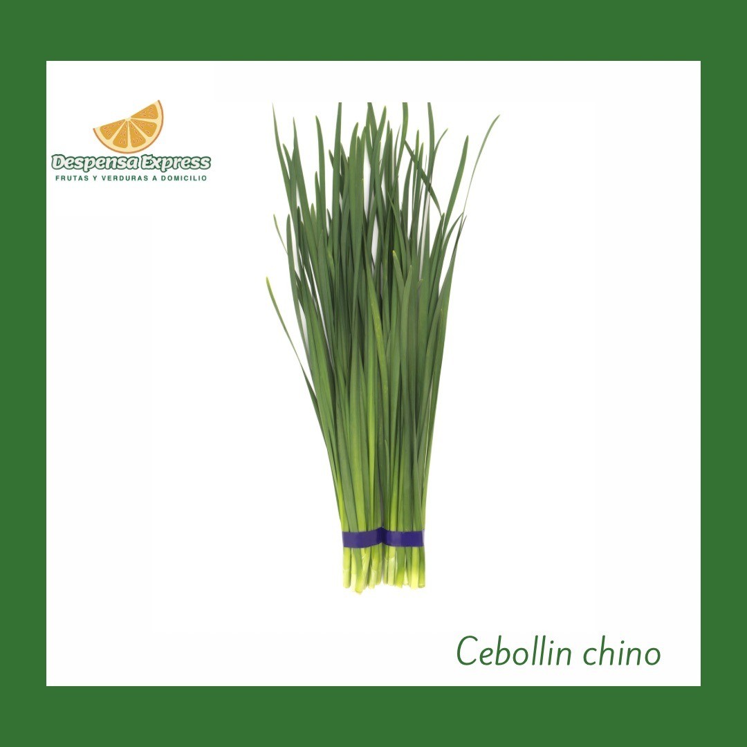Chive o cebollin chino (Media Libra)