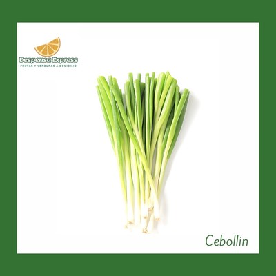 Cebollin tradicional Moño