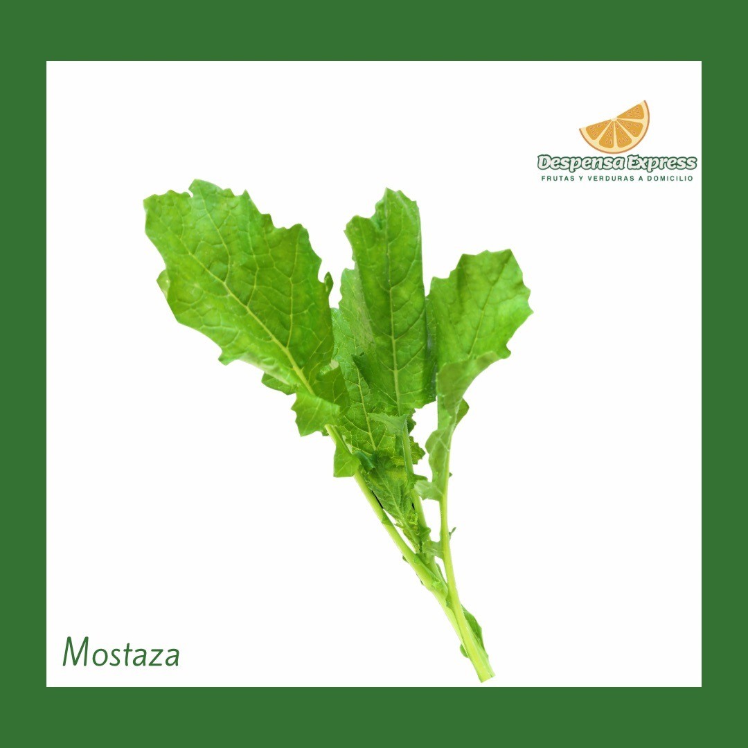 Hojas de Mostaza verde  (media Libra)