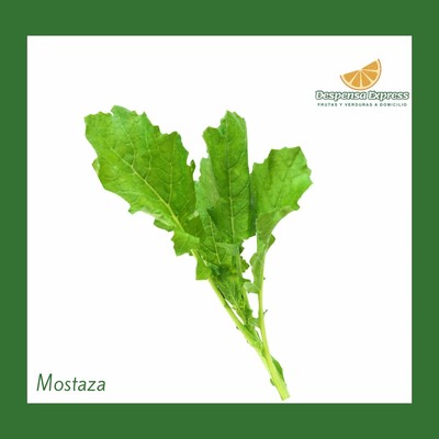 Hojas de Mostaza verde  (media Libra)