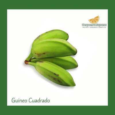 Guineo Cuadrado (12 unidades)