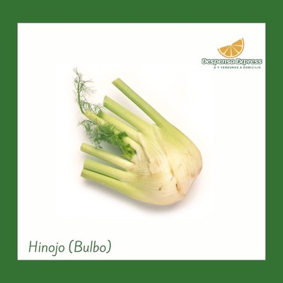 Hinojo Organico (1 Libra)