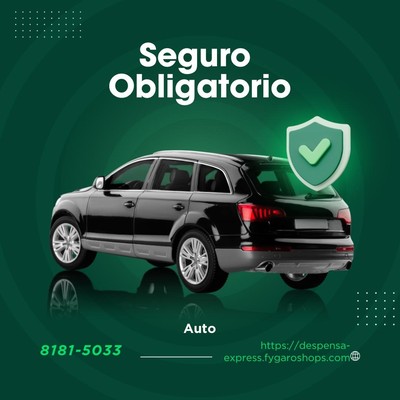SEGURO OBLIGATORIO AUTO RCO