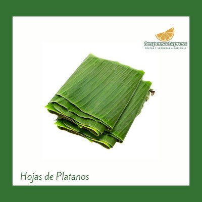 Hoja de platano (paquete)