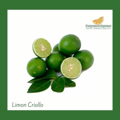 Limon Criollo malla (12 unidades)