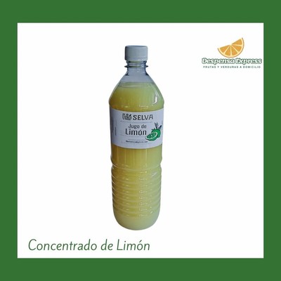 Concentrado de Limon D'Selva (1 Litro)
